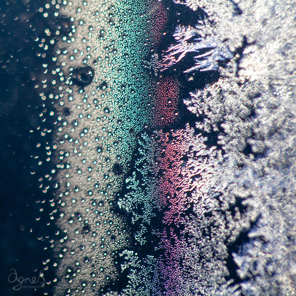 Frozen window_Agnes Perspective_Blog_01